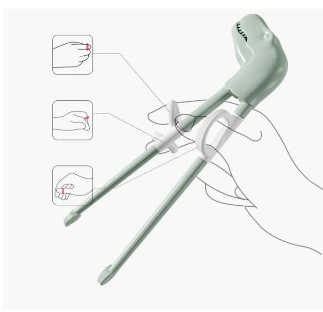 Baguettes d'apprentissage et de formation pour enfants, dessin animé dinosaure, aide à la formation, vaisselle Portable pour enfants détachable