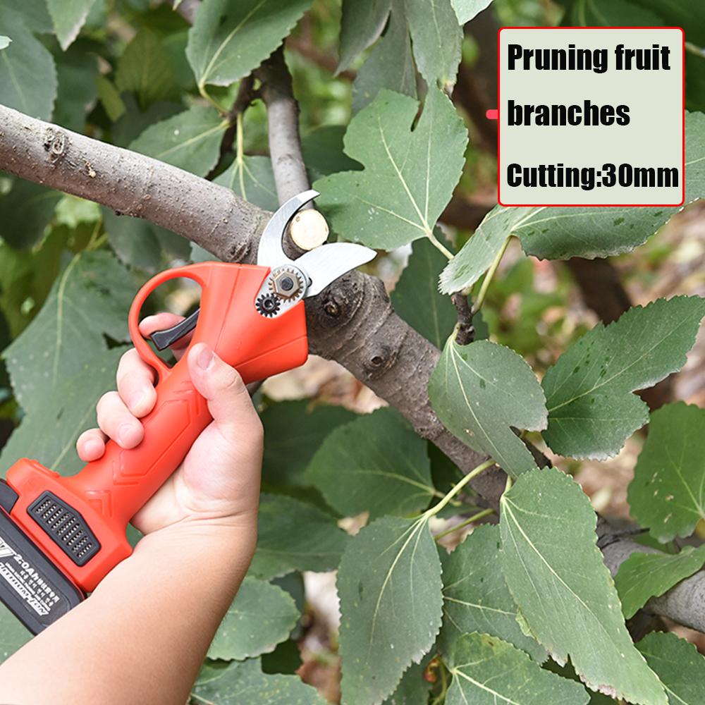 Scharen cisaille électrique sans fil ciseaux électriques coupe-batterie Rechargeable outil électrique efficace pour Branches de bonsaï d'arbres fruitiers