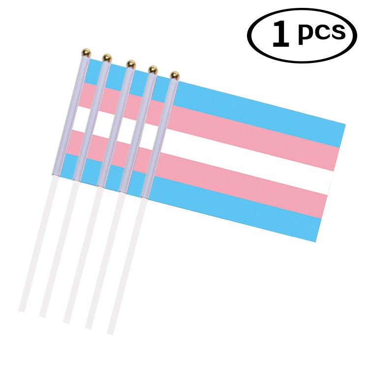 Drapeau arc-en-ciel 14X21cm avec mât arc-en-ciel Gay lesbienne homosexuel bisexuel pansexualité transgenre LGBT fierté U0428