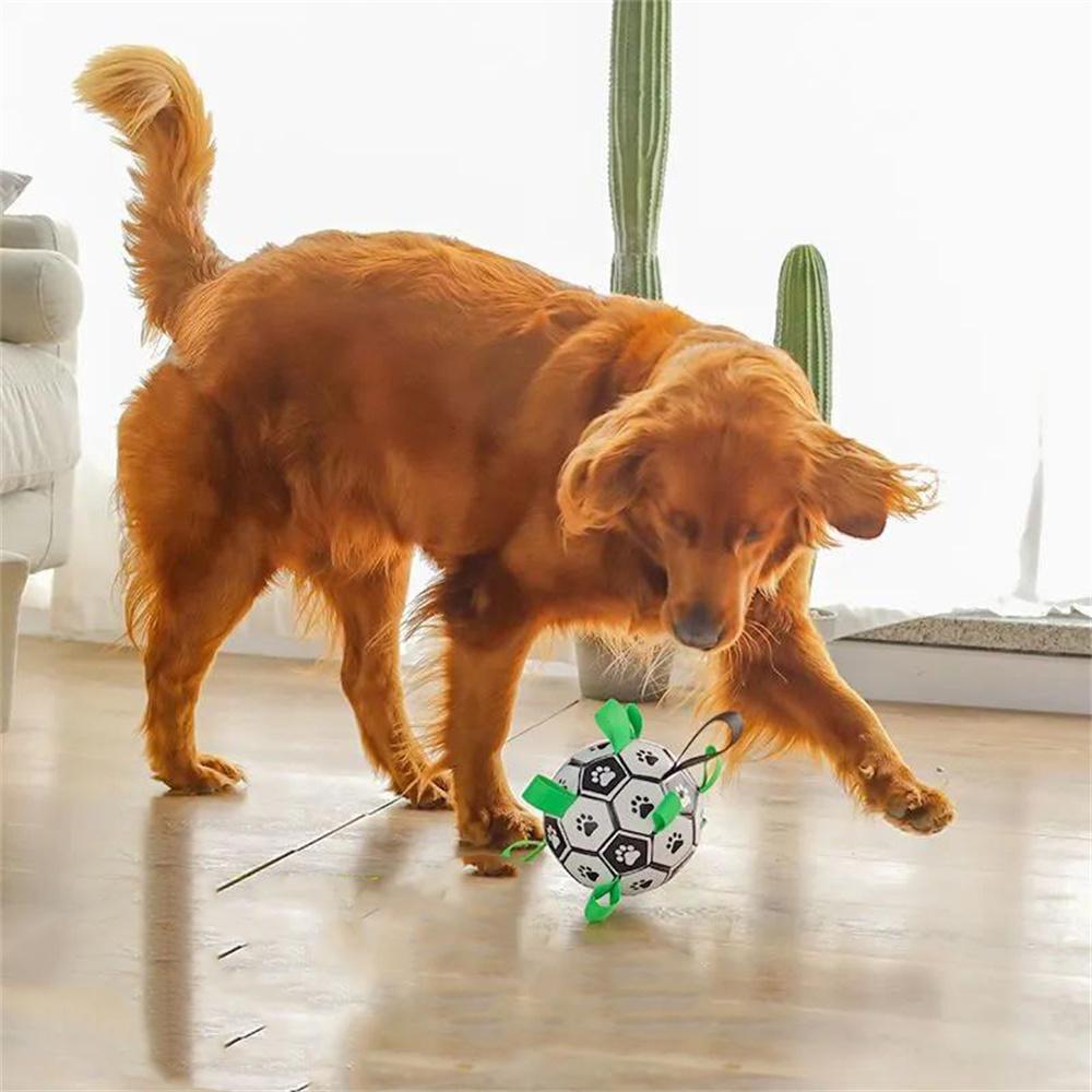 Toys Dog Toy Ball Biteresistant Selfhealing Football Interactive Boring Training levererar små och medelstora hundelastiska bollar