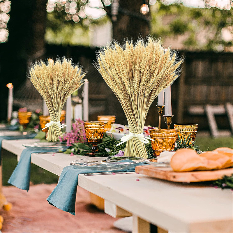 22 inch's gedroogde tarwestengels gouden tarweschijven natuurlijke tarweoren bloemen boeket voor thuisfeest bruiloft decor