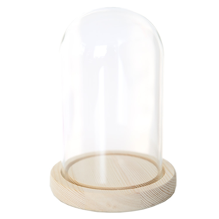 قبة الزجاج الشفاف Cloche Display Dome Dome Case Glass Jar with Black Wooden Bottom Tabletop Centrepiece Office Decoration