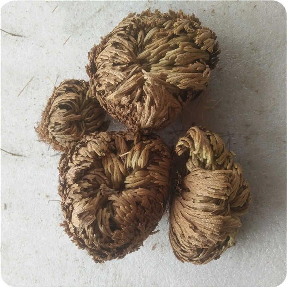 5 dried flowers magic green plant rose plant air fern selaginella immortal grass home party decoration 210624303s