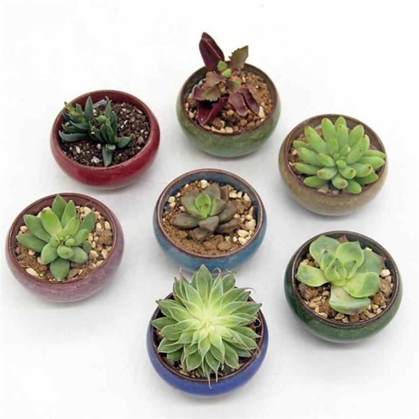 12pçs potes de flores de cerâmica, potes de cerâmica para plantas suculentas, mini pote de bonsai, decoração de jardim para casa, vasos de plantas suculentas gyh y200247j