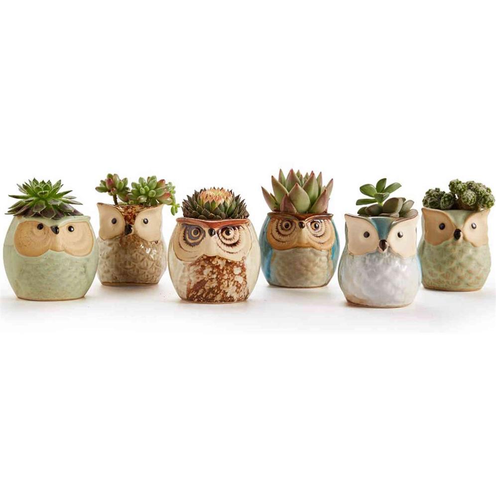 1 pz bella ceramica mini vaso scrivania fioriera piante grasse bonsai fiore di cactus gufo vaso regali le donne ragazze ragazzi bambini Y0314308A