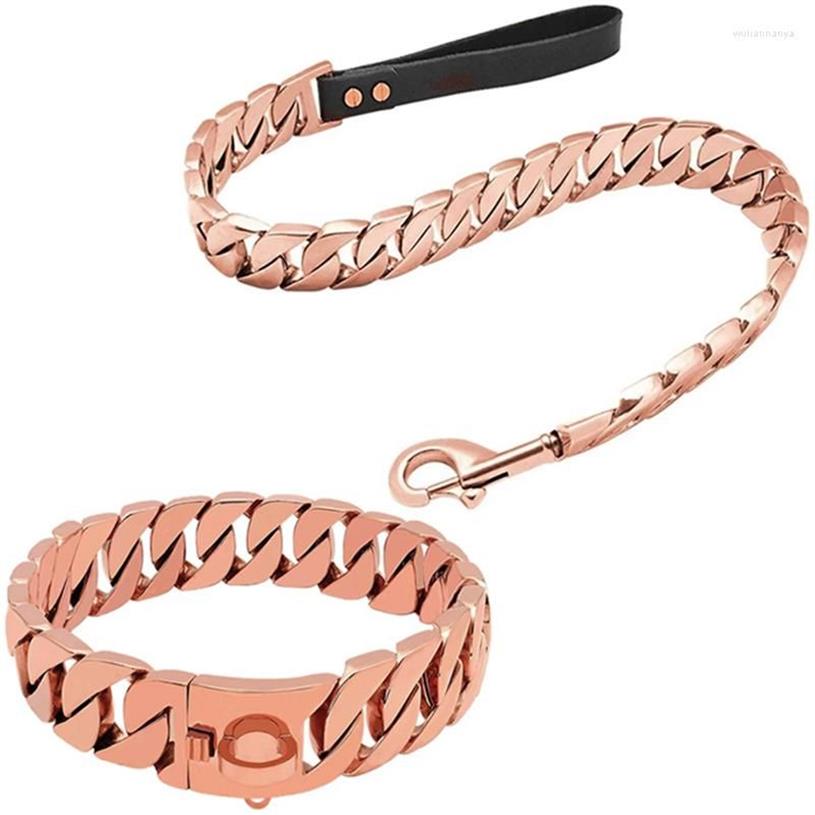 Colliers de chien Collier solide durable avec laisse de chien en métal Ensemble chaîne à maillons cubains en acier inoxydable pour la marche de taille moyenne Traning277L