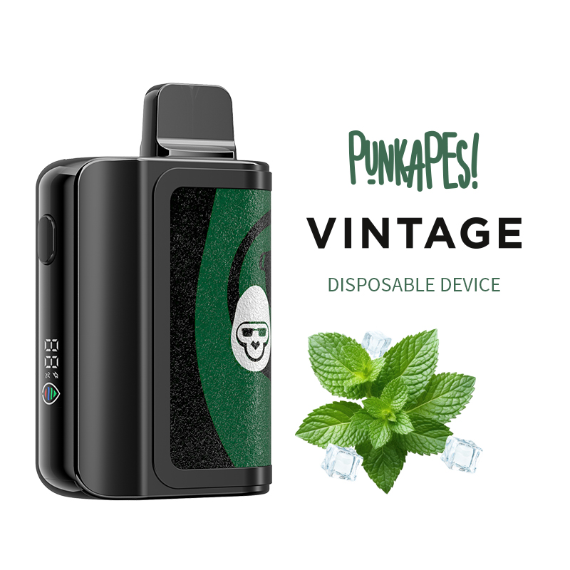 Orijinal sıcak ürün vape punk maymunları vintage 10000 puflar tek kullanımlık e-sigaralar 20ml vape% 5 şarj edilebilir 650mAh pil 11 Lezzet Stokta Mevcut