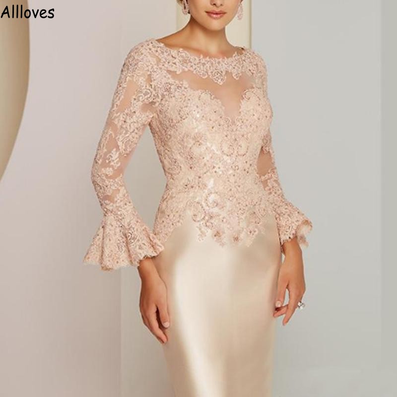 Elegant Appliuqed Lace Mother Of The Bride Dresses Sheer Neck Long Sleeves Knee Length Short Women Evening Party Gowns Sheath Wedding Guest Dress Plus Size CL1759