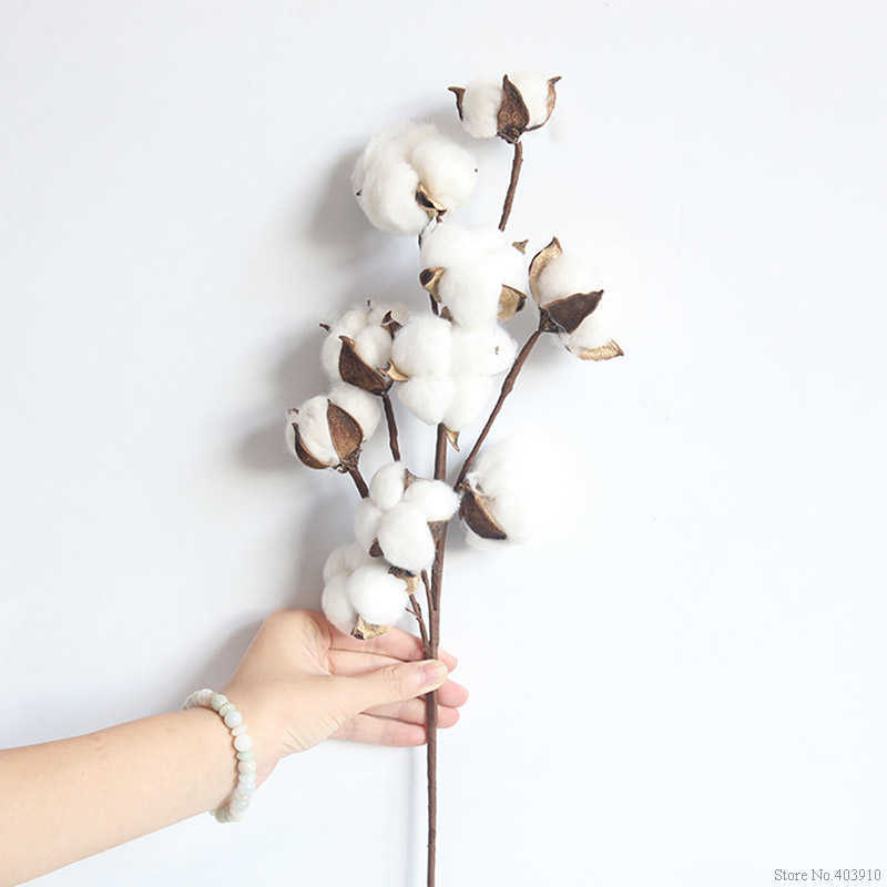 Dried Flowers Naturally Cotton Flower Artificial Plants Floral Branch For Wedding Party Decoration Fake Home Decor Y