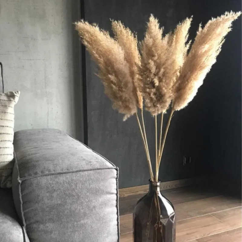 20 PZ Fiori Secchi Naturali Reali Pampas Erba Decor Fluffy Wedding Flower Disposizione Bouquet Vaso Feste Boho Casa Y