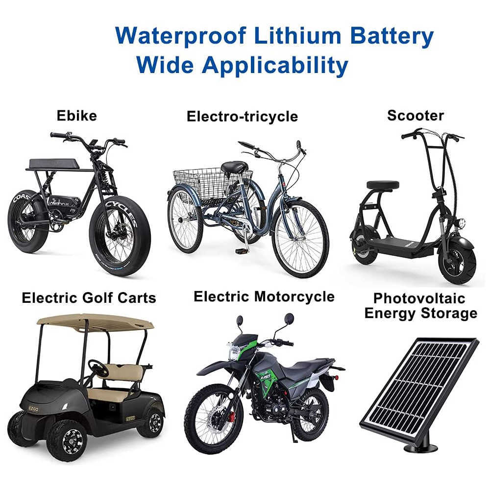 LifePo4/LiNiCoMnO2 Lithium-Akku 48V 50Ah für 2000W 1500W Motorrad/Trike/Go-Kart/Notstromversorgung/Energiespeicherung zu Hause