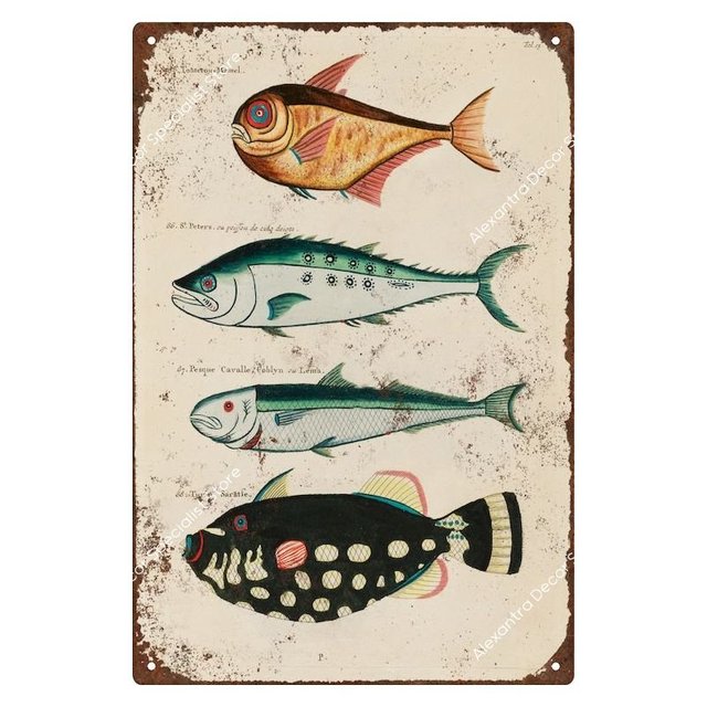 Vintage coloré poisson marin métal signes étain signes affiche décor pour Bar Pub Club homme grotte décoration murale 20x30cm Woo