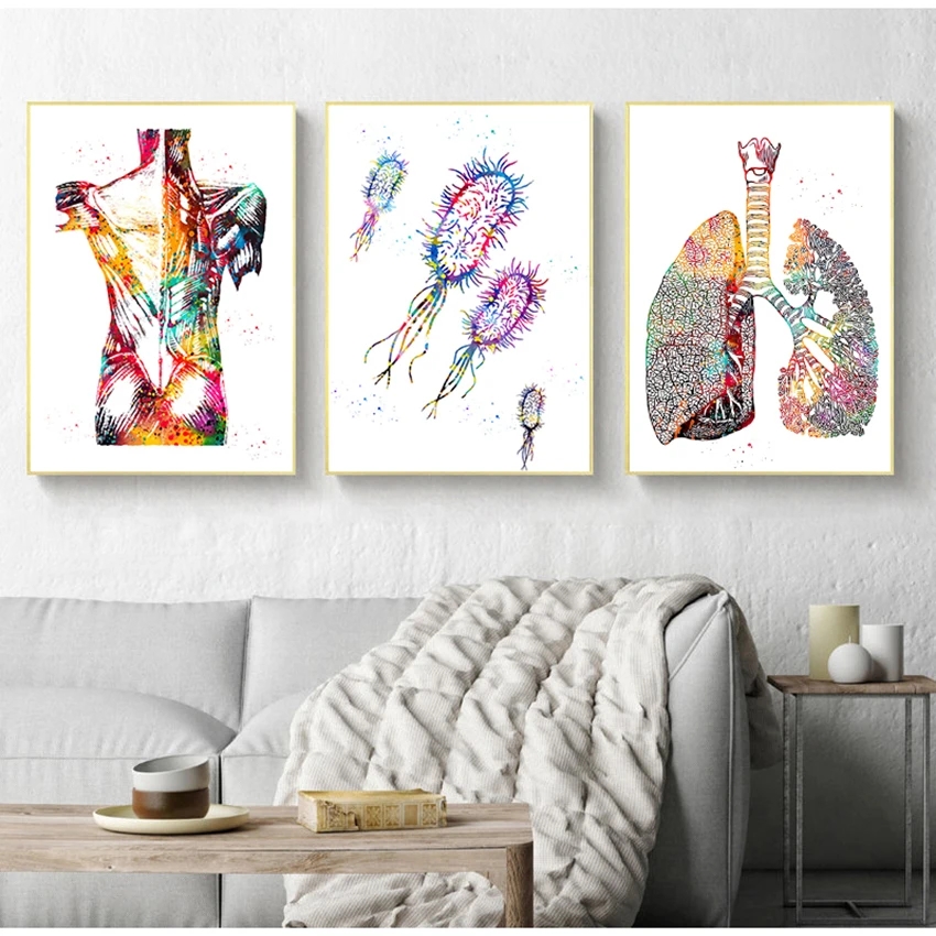 Medical Education Office Picture posters canvas painting Human Anatomy Muscle System Art Print Watercolor Human Figure Painting Woo