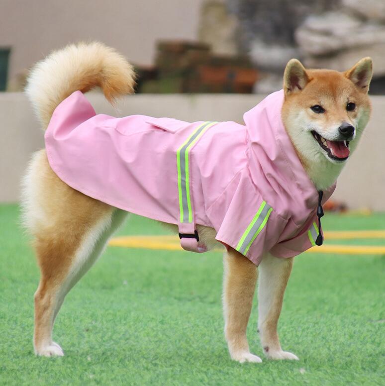 Dog raincoat shop petsmart