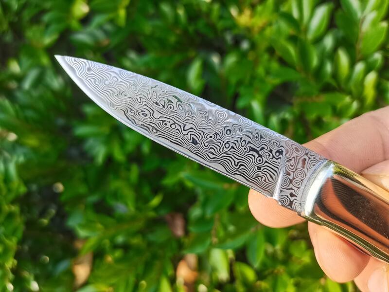 Speciale aanbieding H2376 Vouwmesmes 67 lagen VG10 Damascus Steel Blade Abalone Shell Wtih Brass Handhend