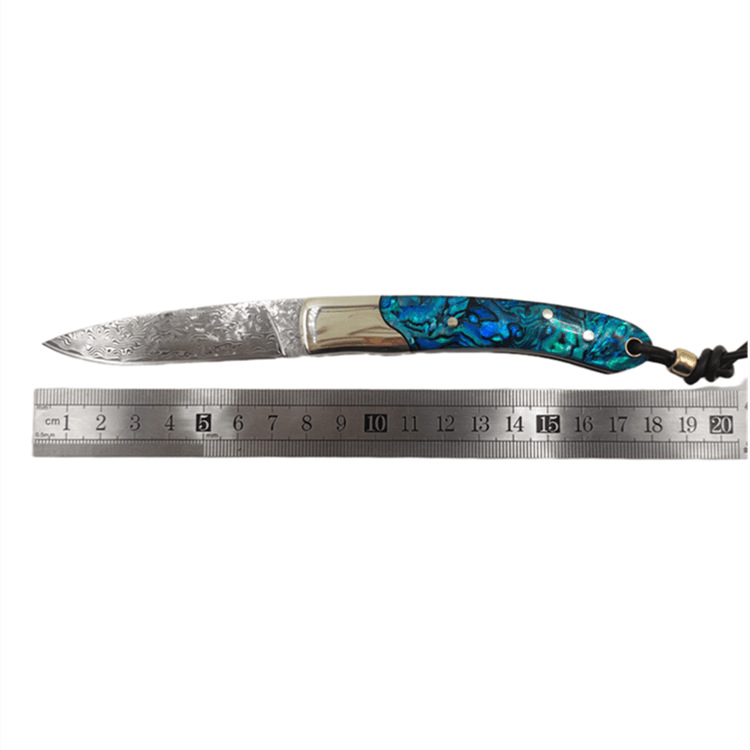 Speciale aanbieding H2376 Vouwmesmes 67 lagen VG10 Damascus Steel Blade Abalone Shell Wtih Brass Handhend