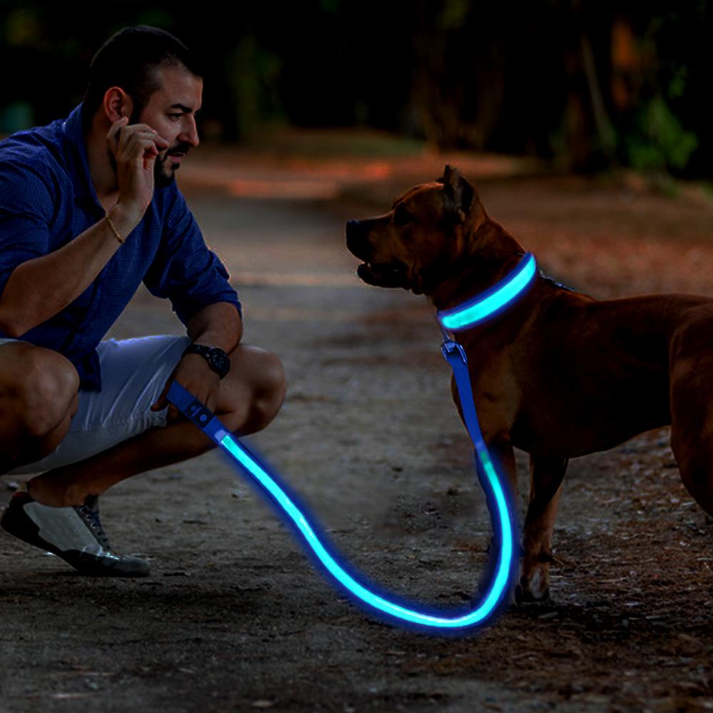 Leashes MASBRILL LED Dog Leash USB Rechargeable Pet Leash Reflective Nylon Mesh Soft Padded Walking Training Visible & Safe water proof