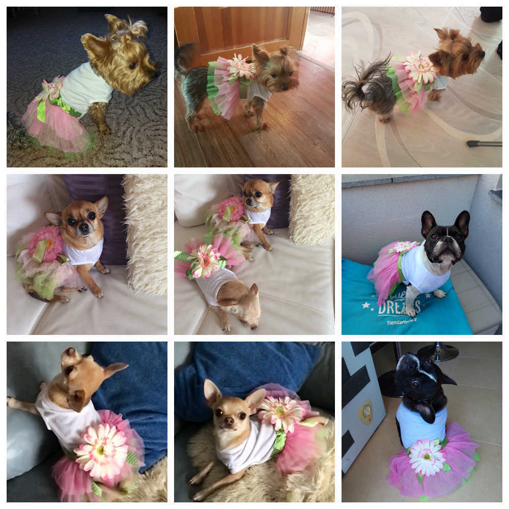 Nuovo pizzo di cotone Abito cani Cristalli Guipure Cani Abiti Gonna Cucciolo Vestito Principessa Ragazza Vestiti cani Vestito operato Prodotti animali GGA004