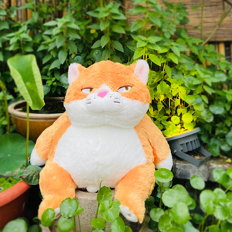 42 CM belle mignon Orange chats en peluche Kawaii gros chat chaton en peluche doux Animal poupée ronde oreiller canapé coussin enfants cadeau