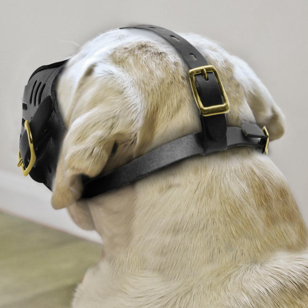 Muzzles äkta läder hund munstycke justerbar hund munstycks husdjur för lagre hundar pitbull träning förhindra att bita tugga skällande