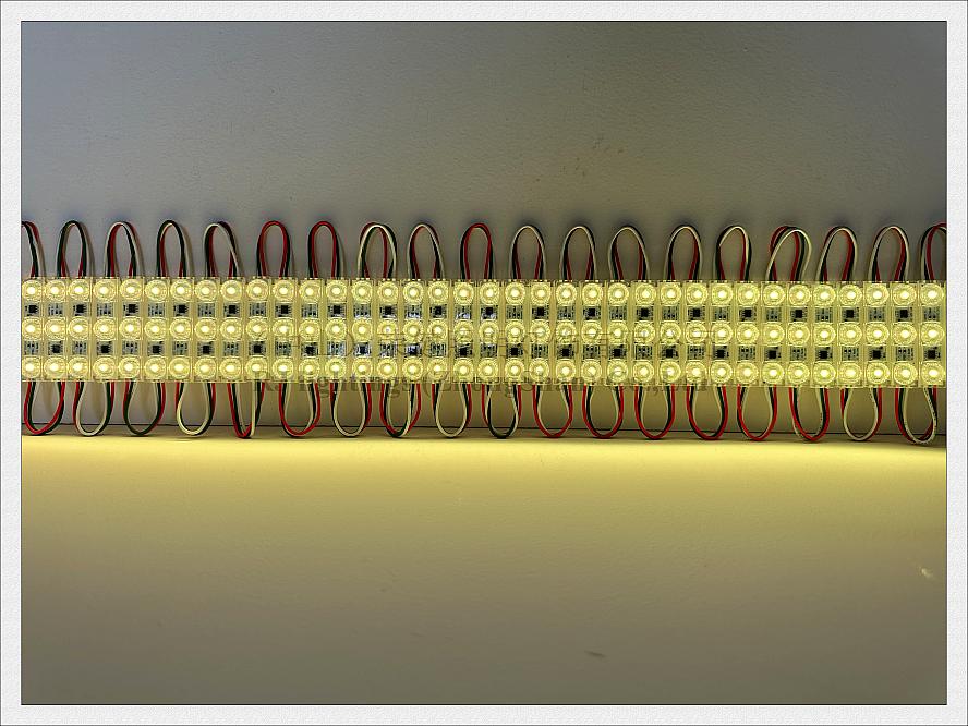 1000 Stück adressierbares Vollfarb-Magic-Digital-LED-Lichtmodul für Schilderwerbung WS 2811 mit IC WS2811 SMD 3030 DC12V 1,2 W IP68 wasserdicht