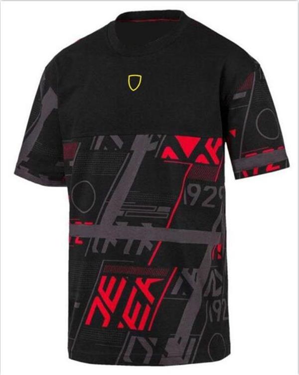 Polos masculinos F1 Racing T-shirt de manga curta Verão Team Polo Camisa o mesmo estilo personalizável D5xv