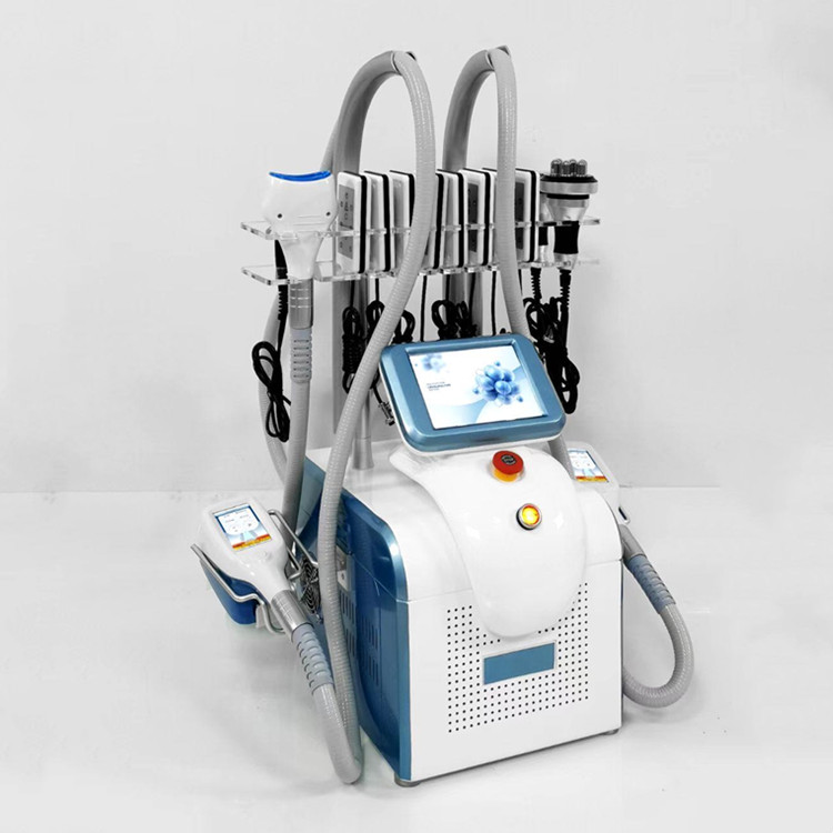 Nouveau modèle de haute qualité Cryolipolysis Fat Freeze Machine Desktop Équipement de dissolution des graisses congelé Perte de poids congelée poignée Instrument amincissant