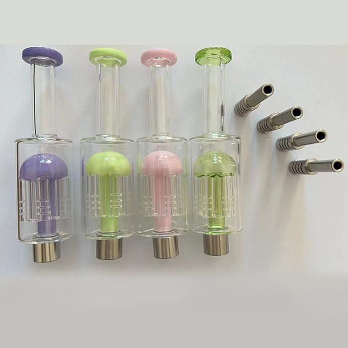 Mini sigara boru nektar koleksiyoncu kitleri nargile konsantre saman 14mm nc kiti ile titanyum tırnak dab pipetler taşınabilir dab teçhizat küçük bongs