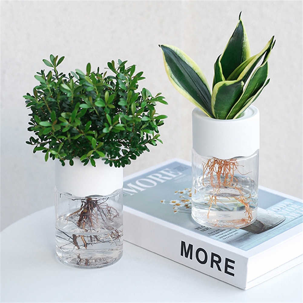 Planters Pots Transparent Hydroponic Flower Pot Water Planting Vase Container Plastic Tabletop Plants Bonsai Home Decoration R230620