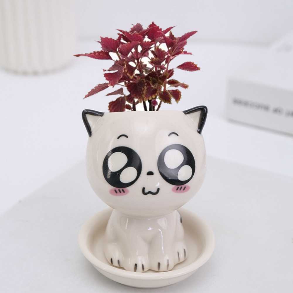 プランターポットセラミックフラワーポットミニ猫型漫画かわいい鉢植え植物デスクトップポッティングエクスプレッシュキャット植物ポットデスク飾る小さな装飾R230620