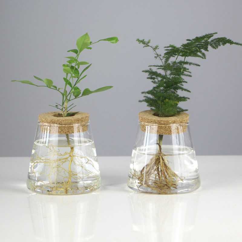 プランターポットミニ水耕栽培植木鉢ガラス植物花瓶透明なテラリウムガラス卓上植物ポットヴィンテージホームリビングルーム装飾R230620