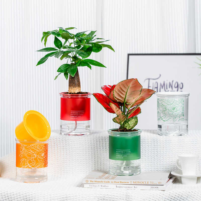 Fioriere Vasi Vaso da fiori autoirrigante Assorbimento automatico dell'acqua Succulente Aneto verde Vaso da fiori idroponico in plastica rotonda trasparente R230620