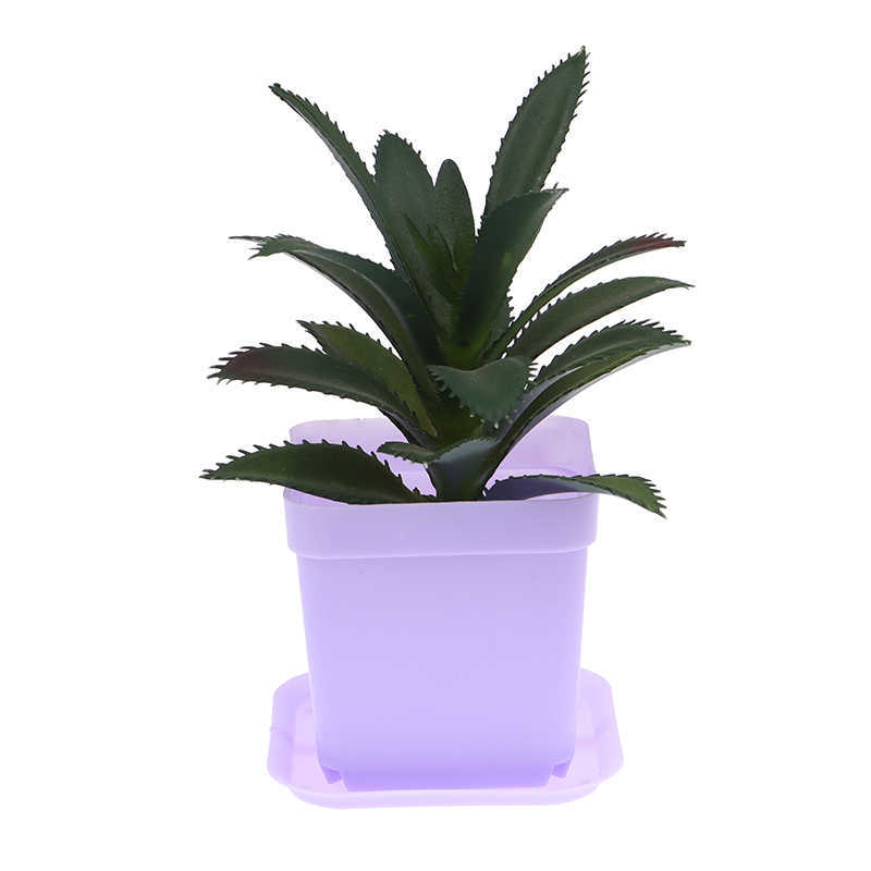 Planters POTS 10SED SPISENT SPEAD SPEAD FLOWERPOT MUNTOLOR MUNDICUNDING FLOWERPOT ULTRA-SMALL SMALL SPIPLE PLASTION