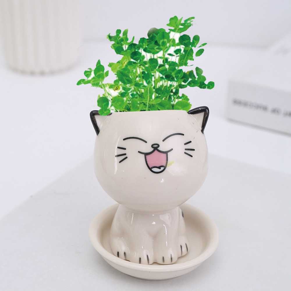 Plantenbakken Potten Keramische Bloempot Mini Kat Vormige Cartoon Leuke Potplant Desktop Ingemaakte Uitdrukking Kat Plant Pot Bureau Versieren Klein Ornament R230620