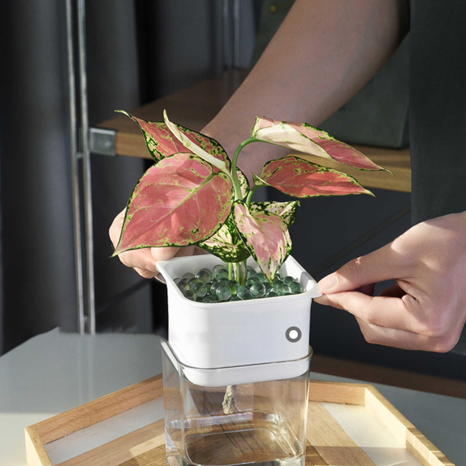 プランターポット透明な自動便利な実用的な魅力的な創造的な創造的な吸収スクエアフラワーポット植物ポットコンテナR230620