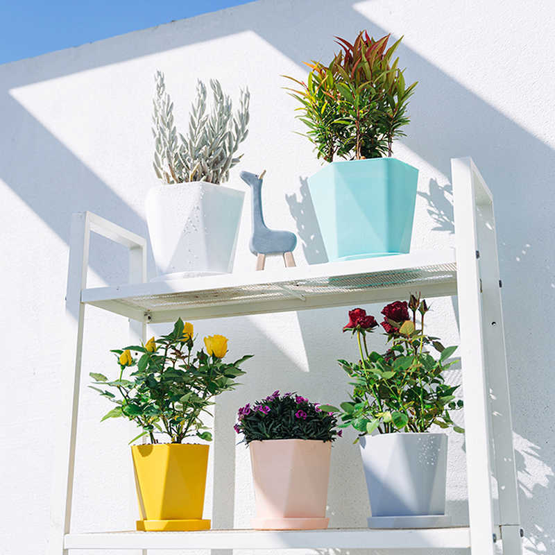 Plantenbakken Potten Nieuwe Creatieve Scandinavische Stijl Verdikte Bloempot Plastic Potten Balkon Groene Bloempot Hexagon Vaas Woondecoratie Plant Pot R230620