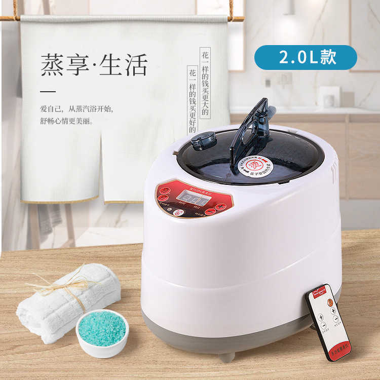 Portable 2L Sauna Steamer Pot Machine 1000W Fumigation Machine Stainless Steel Sauna Steam Generator for Home Spa Steam