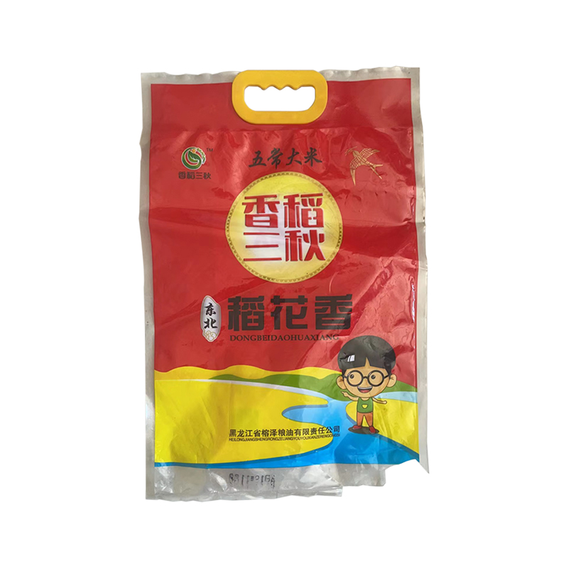 Plastic Packaging bag Vacuum food bag Aluminum foil bag color printing