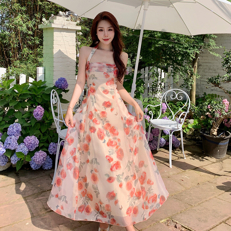 Robe longue en mousseline de soie imprimée de fleurs à col licou pour femmes