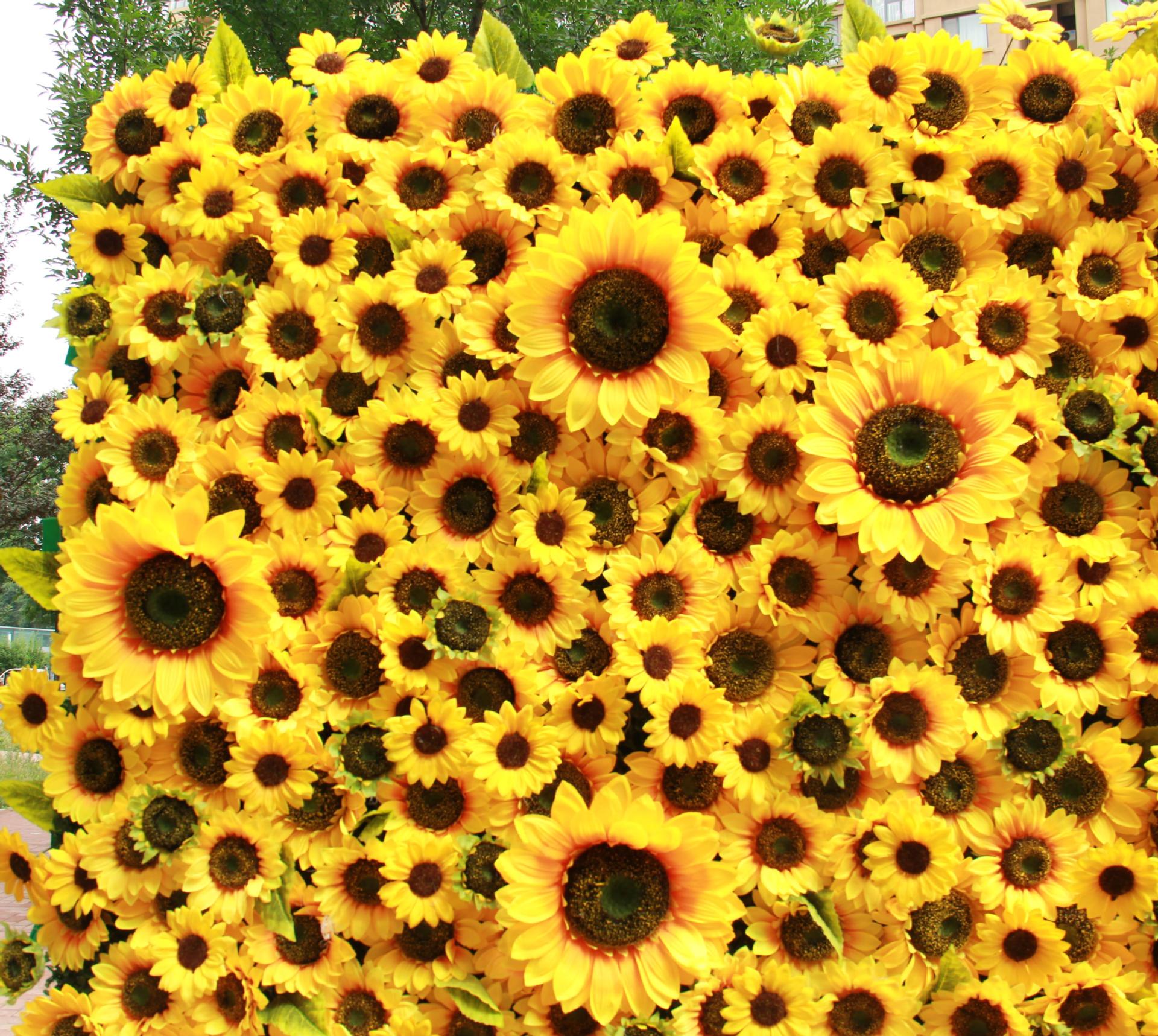 Flores decorativas de boda 3D enrolladas tela girasol pared flores artificiales telón de fondo