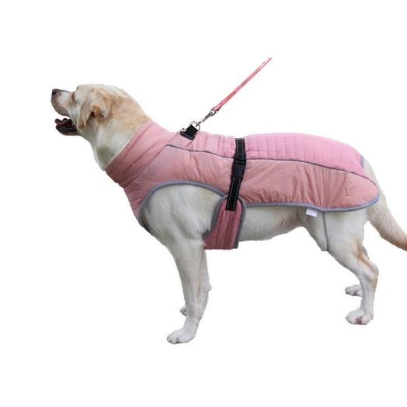 Designer Dog Clothes Automne et hiver nouveaux vêtements pour animaux de compagnie épaissis vêtements de chien réfléchissants traction vêtements pour animaux de compagnie coton gilet manteau Dog Apparel