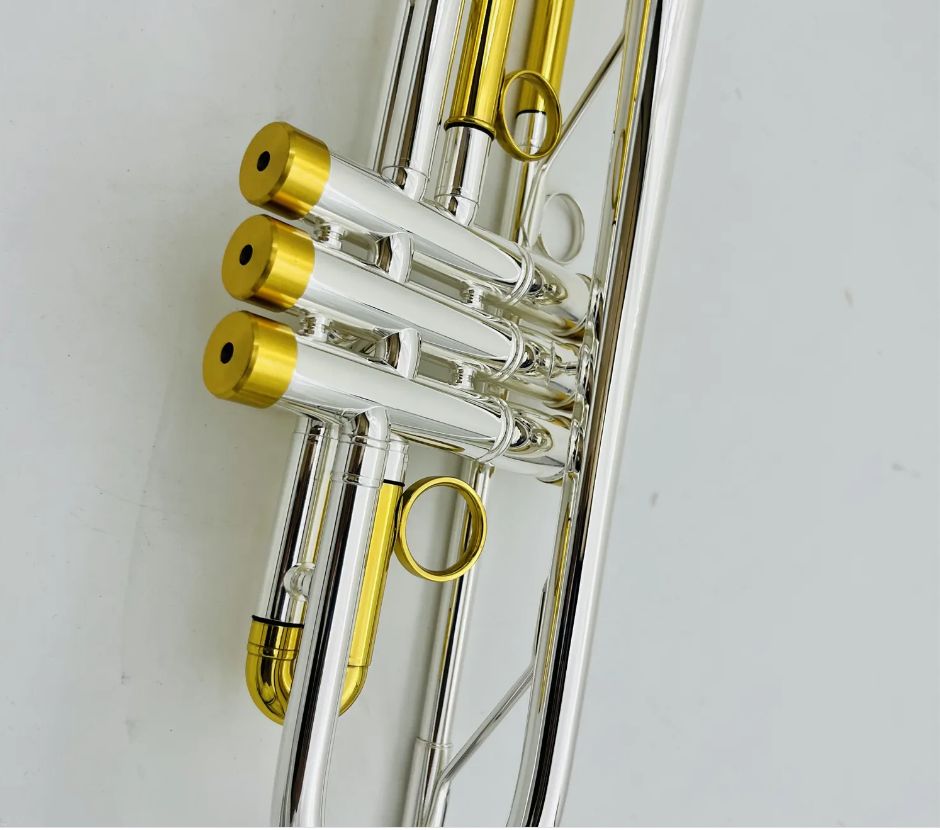 Prawdziwe zdjęcia BB Trąbek Trąbowy Sliver Pleated Brass Professional Brass Instrument z akcesoriami skrzynek