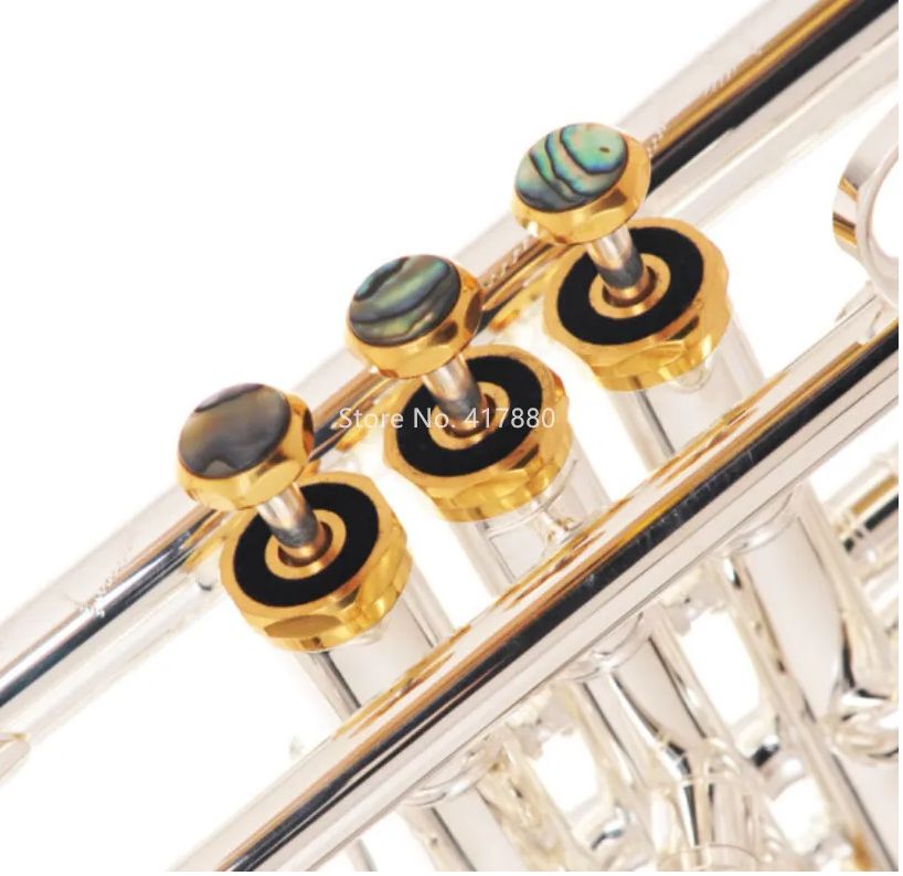 SADSN STR-900S Bb Tune Trompet Messing Verzilverd Abalone Knop B Platte Trompet Hand in Carving Muziekinstrument met koffer