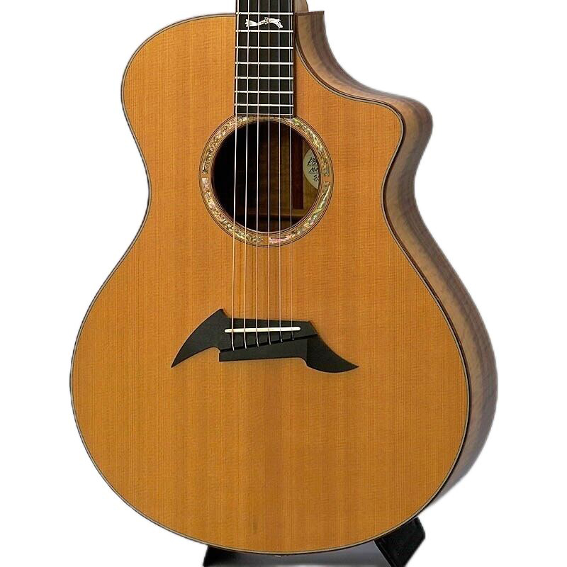 Klasa mistrzowska Northwest Classic Acoustic Electric Guitar