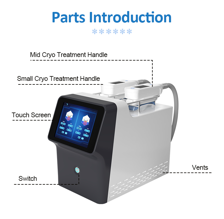 Professional 360 Cooling 2 핸들 지방 동결 슬리밍 장치 지방 동결 기계 홈