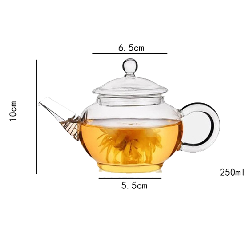 Set da tè e caffè da 250 ml Teiera in vetro borosilicato resistente al calore Filtro interno Bollitore il tè Kung Fu Tè Bdesports Caffettiere