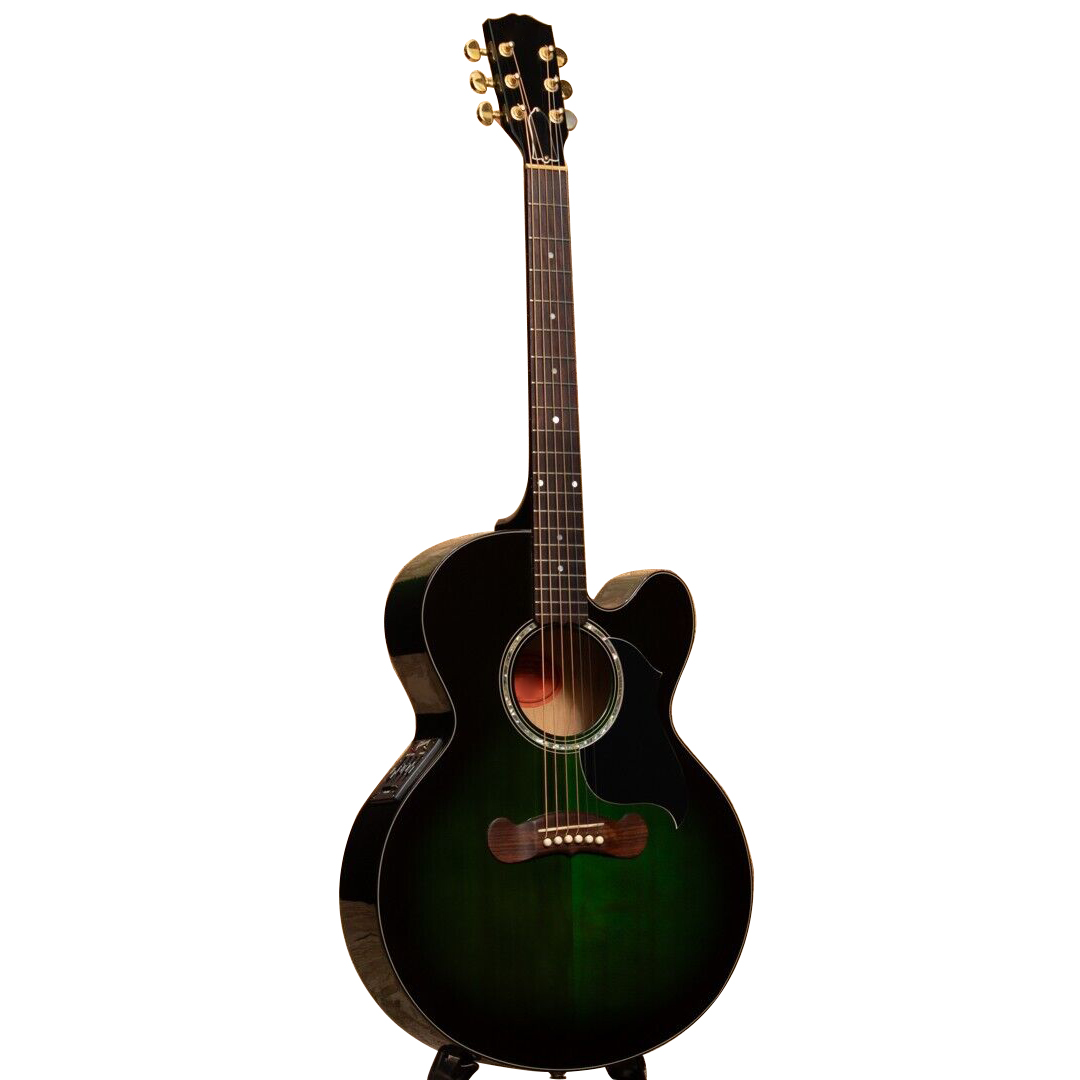 Guitare acoustique standard EC-10 1997