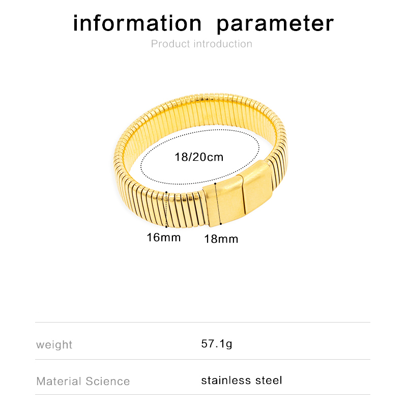 Stainless Steel Lover Bracelet 18K Gold Plated INS Trendy Fashion Geometric Buckle High Polished Bounce Bangle Couple Wristband Cuff Jewelry Men Women Hip Hop Gift