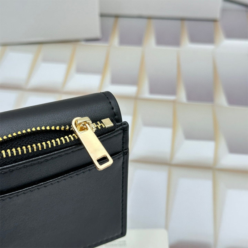 Luxurys Designers Wallet Short Wallets Bag Card Holder Carry Around Women Pocket Holders Money Cards Coins Leather Purse CNS Wallet