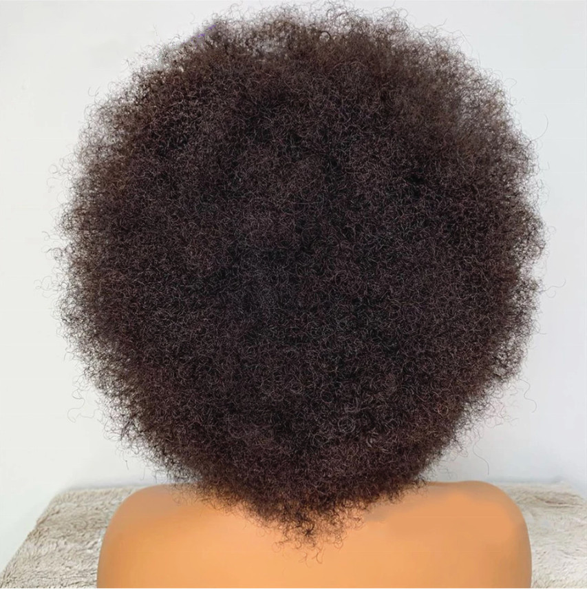 Short Mongolian kinky Curly human Hair Wigs Pre-plucked Pixie Cut afro Curly Wig 13x1 Transparent Lace Front Wigs